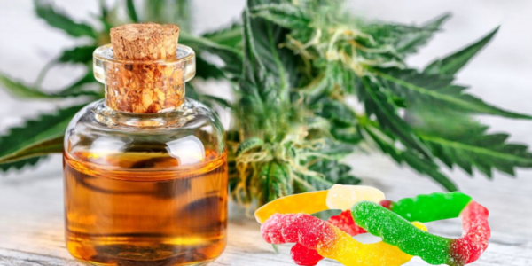 CBD Oil vs CBD Gummies: Which is More Effective at Relieving Anxiety