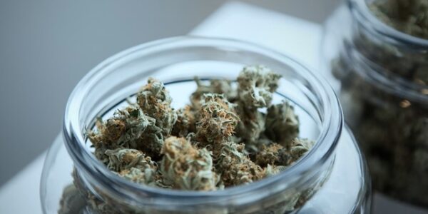 What is AAAA Weed? Understanding the Highest Grade of Cannabis